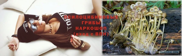 Альфа ПВП Новозыбков