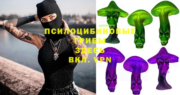 гашиш Новодвинск