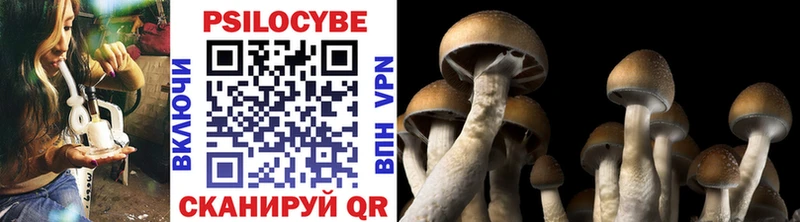 Псилоцибиновые грибы Psilocybine cubensis  гидра ССЫЛКА  Туймазы  хочу  