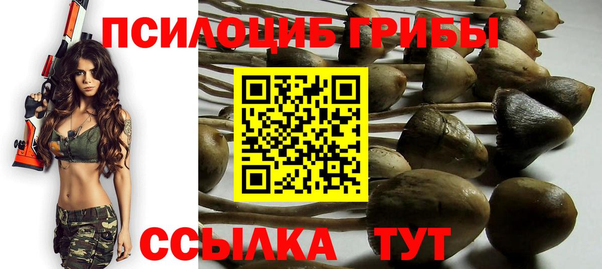 Псилоцибиновые грибы GOLDEN TEACHER Туймазы