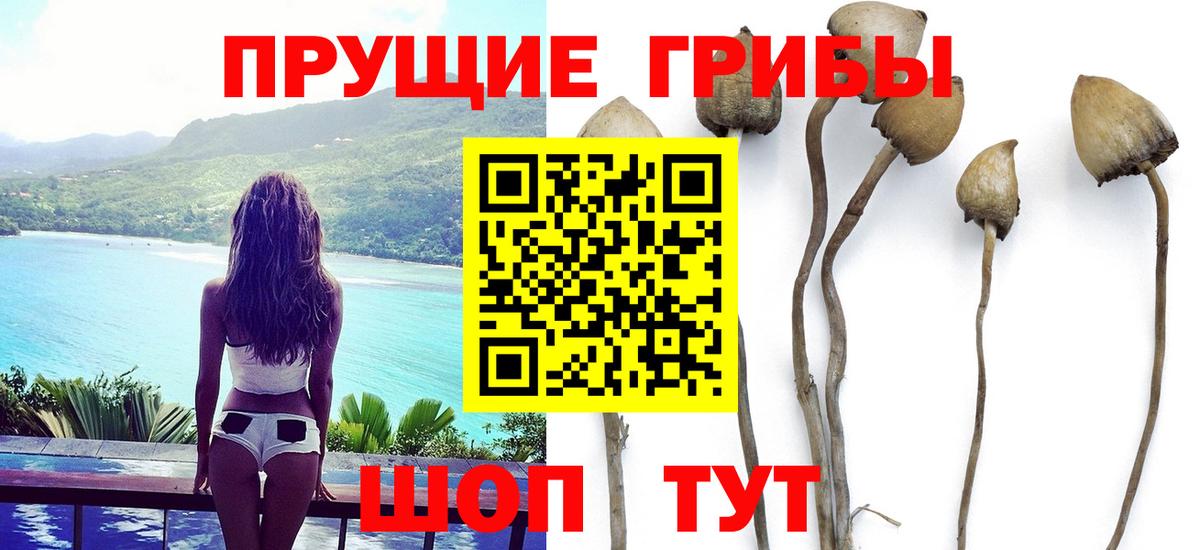 Туймазы  Псилоцибиновые грибы GOLDEN TEACHER  Вход с VPN 